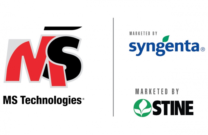 Syngenta e MS Technologies anunciam soja tolerante a herbicidas