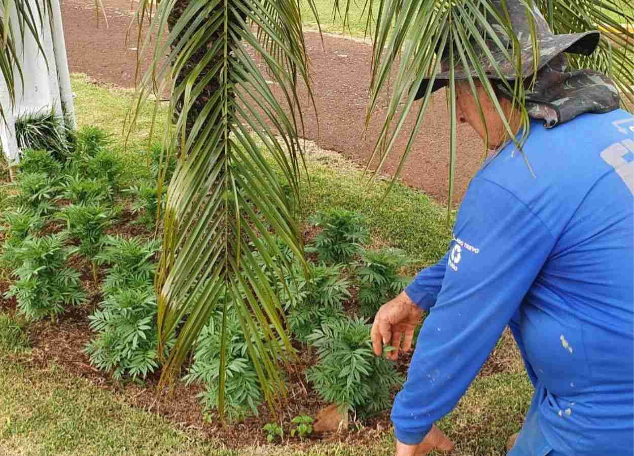 Oportunidades são voltadas a diferentes áreas, como limpeza, alimentação, fiscalização e recepção