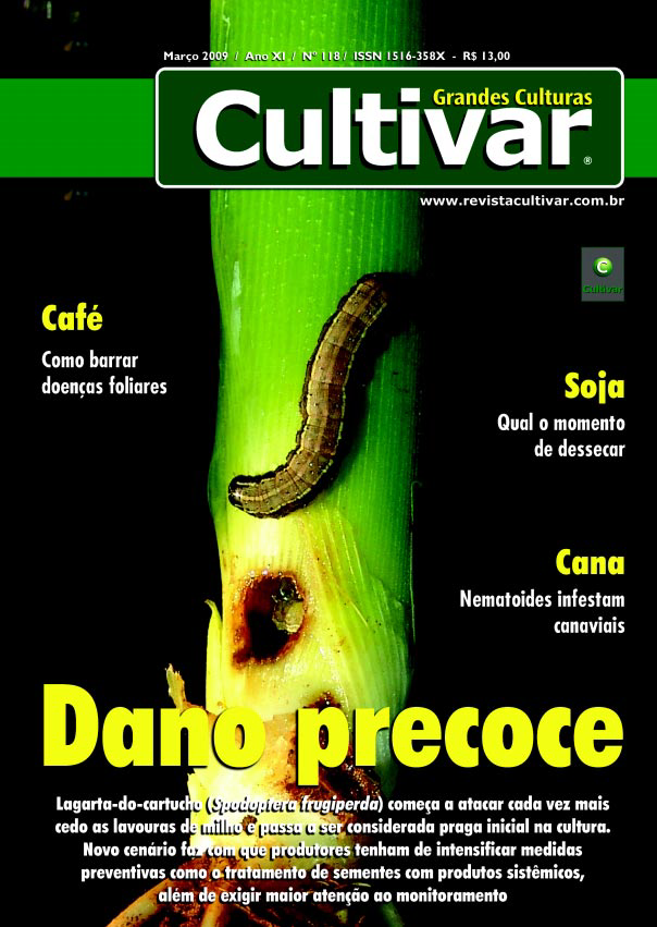 Dano precoce