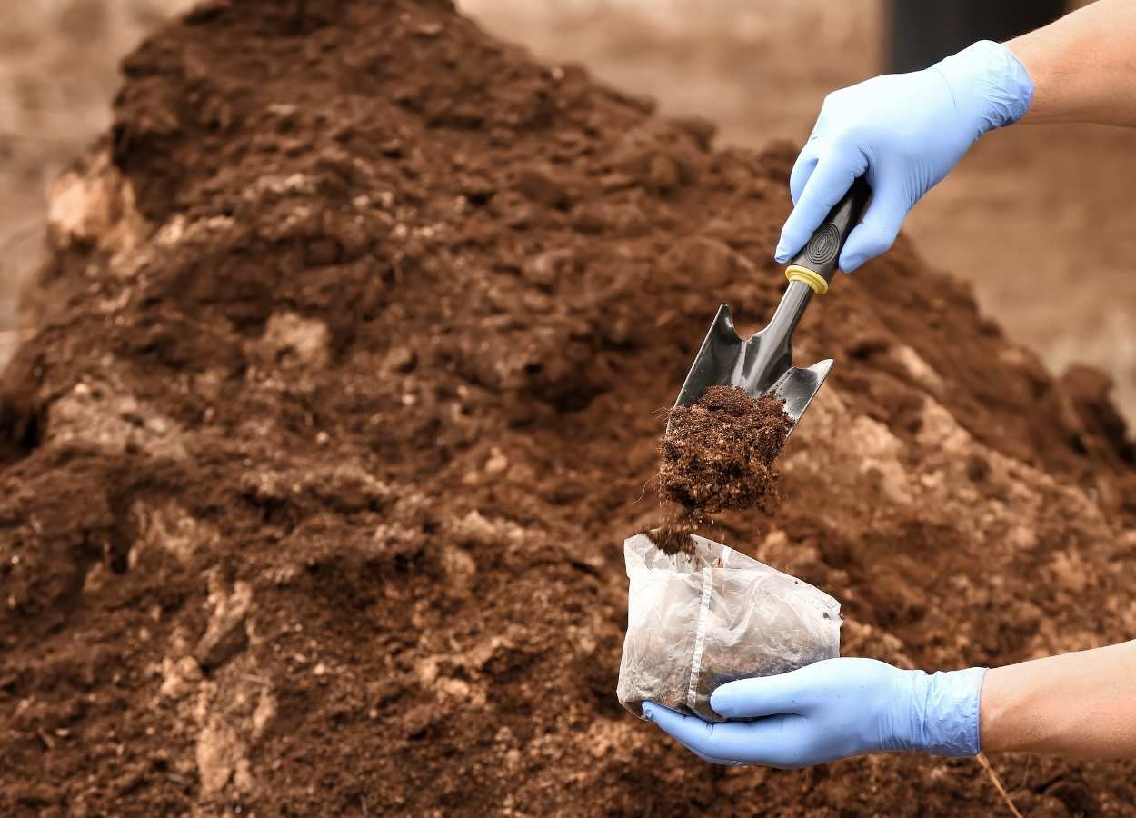 Especialistas desenvolvem estudo detalhado dos solos da Bahia