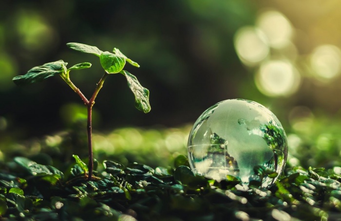 Entidades reforçam proposta de Projeto de Lei de Bioinsumos