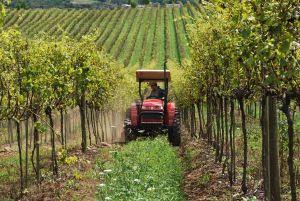 ​Agritech aposta nos tratores parreira durante a Expodireto Cotrijal