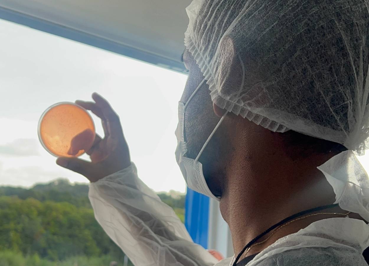 Anpii Bio abre programa de qualidade para bioinsumos