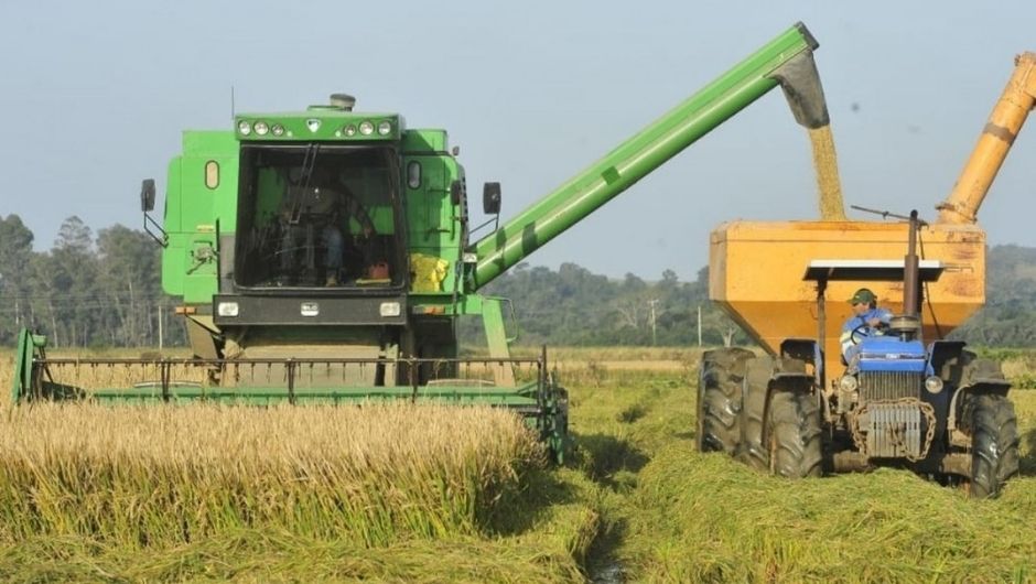 Foto: Giovani Wrasse