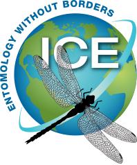 Sociedade Entomológica Americana premia alunos da Unesp
