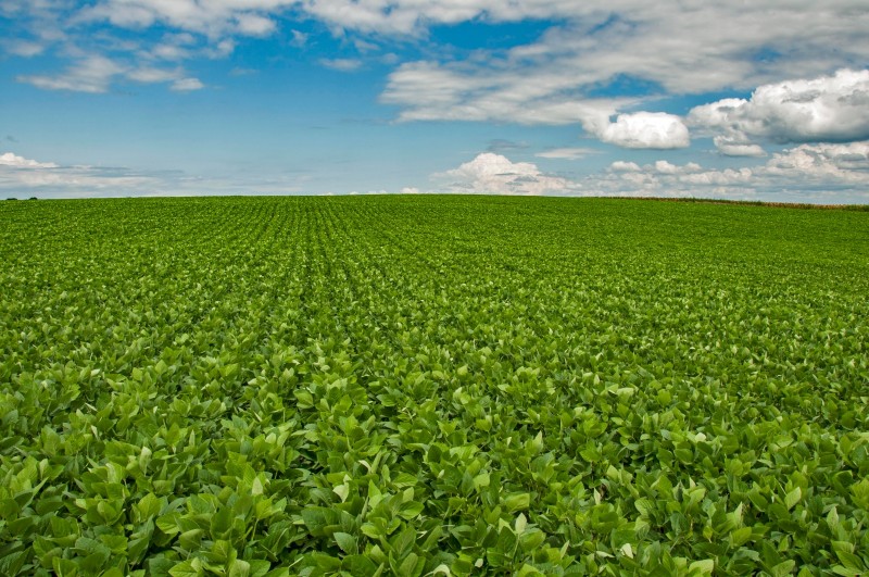 Secretaria da Agricultura estuda Balanço de Gases de Efeito Estufa em áreas de produção de soja no RS