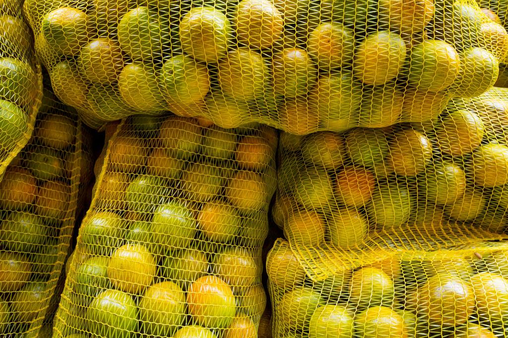 Demanda por citros aumenta no fim do mês