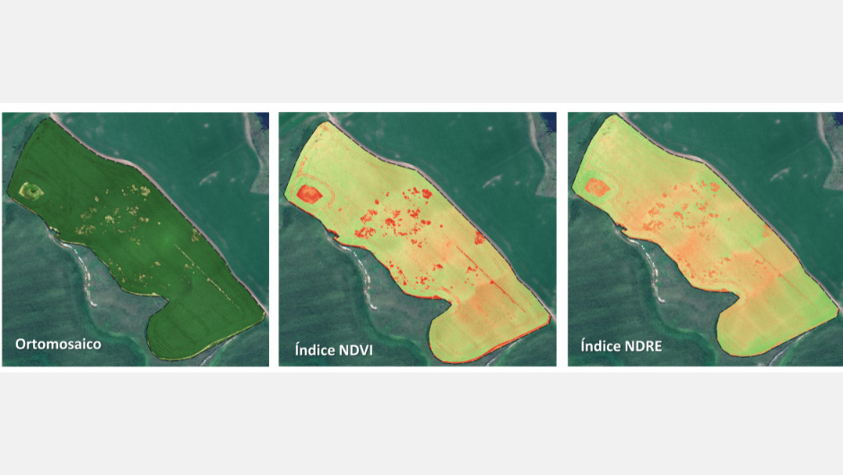Figura 7: imagens do voo realizado aos 100 dias após a semeadura de soja na Safra 2019/20, utilizando sensor multiespectral duplo