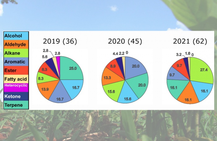 Volatilômica aponta novas direções para a saúde do solo