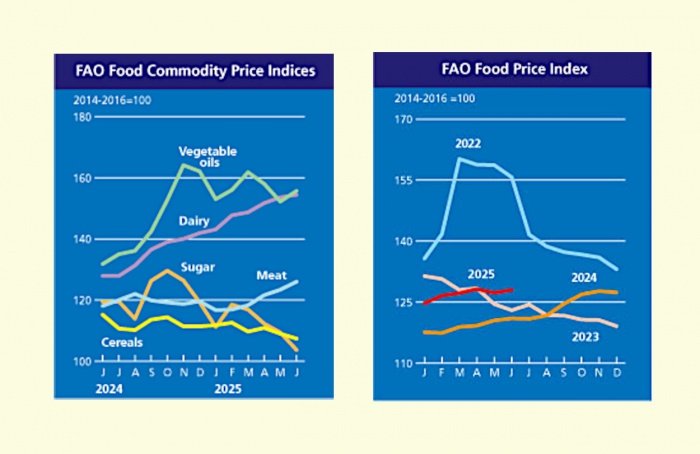Índice de preços de alimentos da FAO sobe em junho