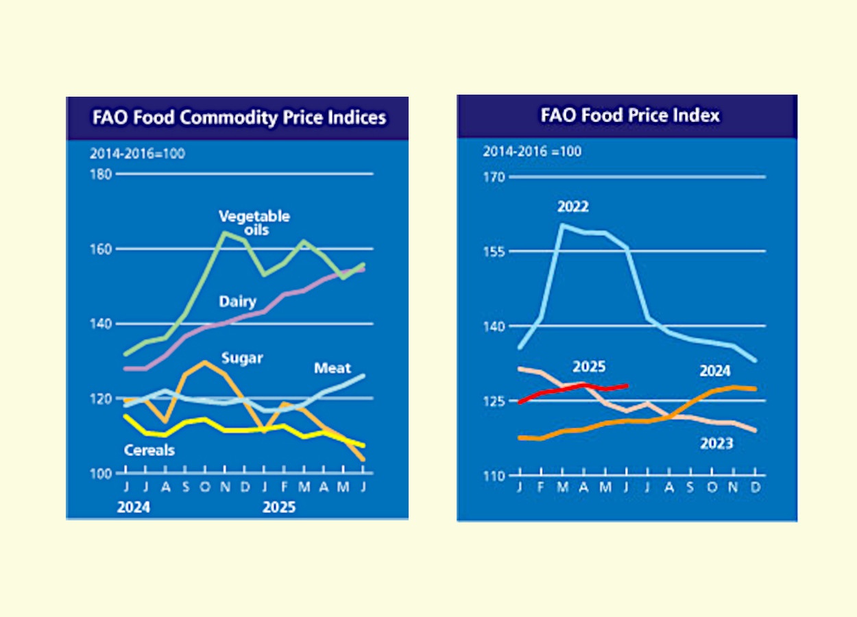 Índice de preços de alimentos da FAO sobe em junho