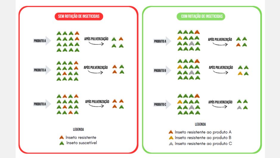 Figura 5: rotação pelo modo de ação dos inseticidas; foto: Maria Gabriela Venâncio (2024)&nbsp;