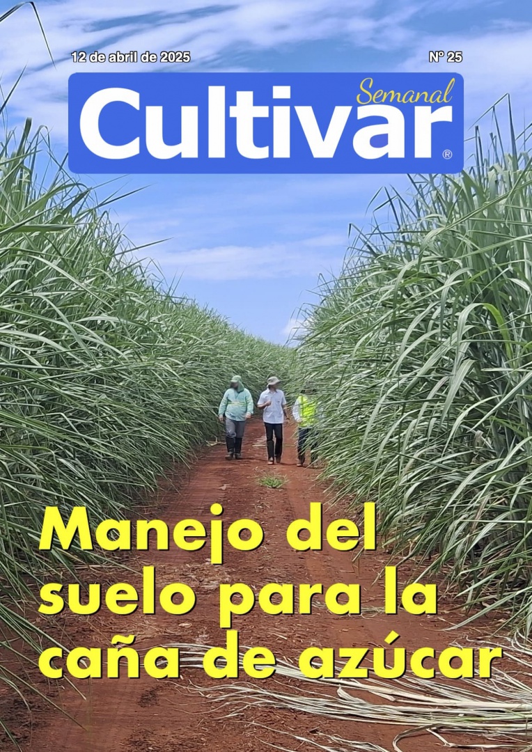 Cultivar Semanal 25