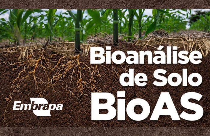 Embrapa lança novas versões de curso on-line em comemoração aos quatro anos da tecnologia BioAS