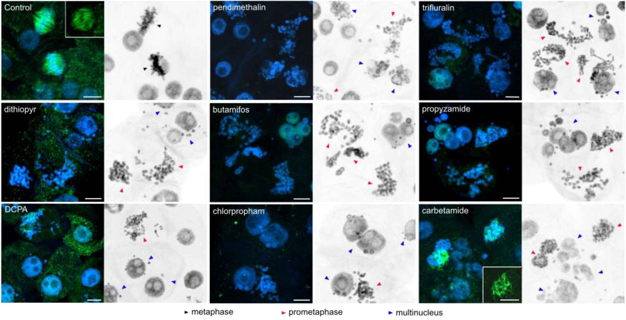 doi 10.1002/ps.71261