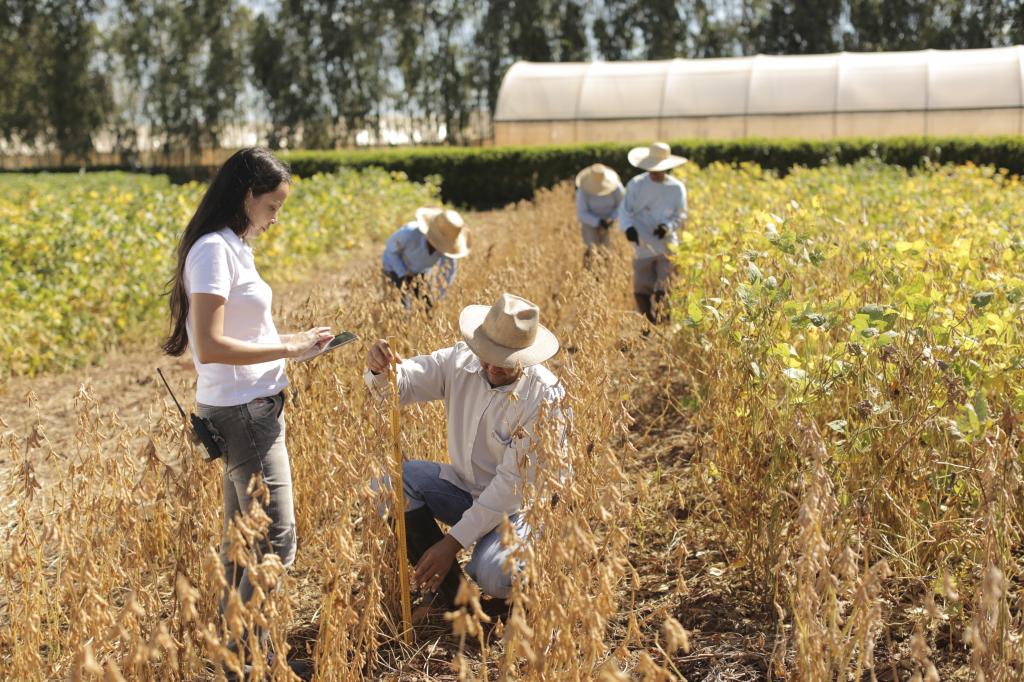 Divisão Crop Science da Bayer está pronta para atender às futuras necessidades dos clientes, do mercado e da sociedade