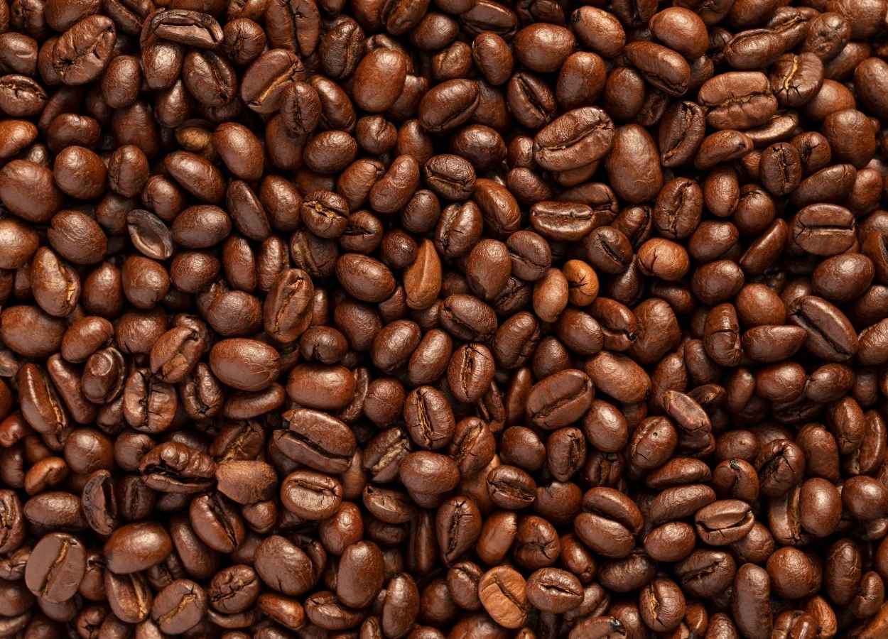 Exportações de café caem 17,5% em agosto, aponta o Rabobank