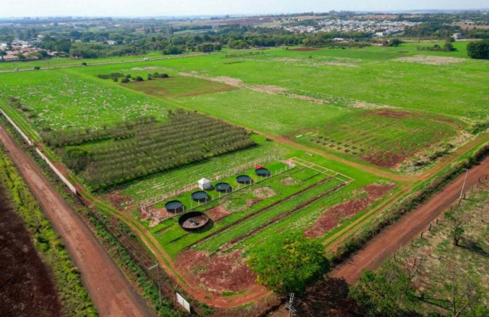 Unicamp abre 7,7 hectares para testes de tecnologias agrícolas