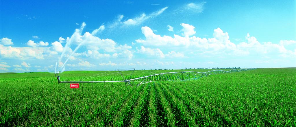 Produtores investem em tecnologia de irrigação e têm resultados acima da média nacional