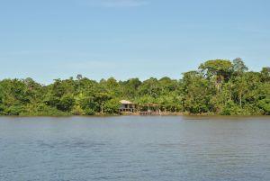 Atividades de Capacitação Pesquisador Visitante são apresentados na Embrapa Amapá