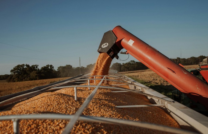 Concurso de Produtividade do Milho Inverno abre inscrições