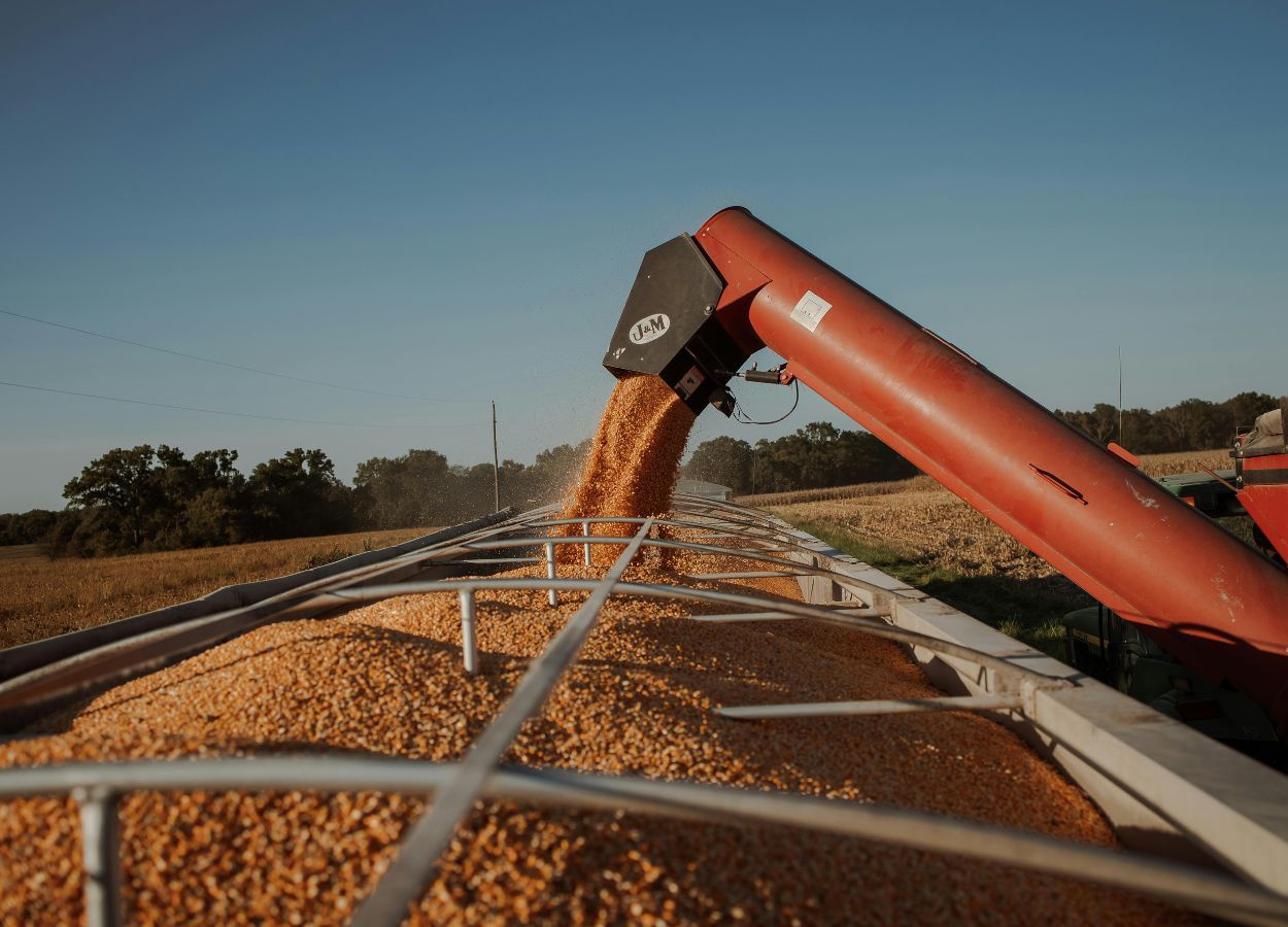 Concurso de Produtividade do Milho Inverno abre inscrições