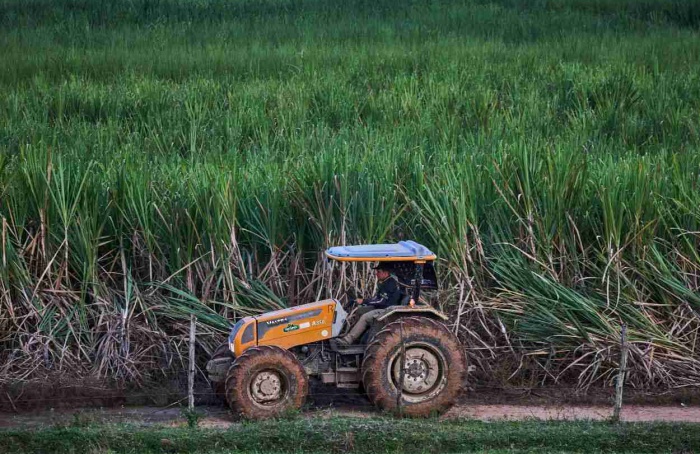 Alta nas vendas de tratores projeta novo ciclo no campo