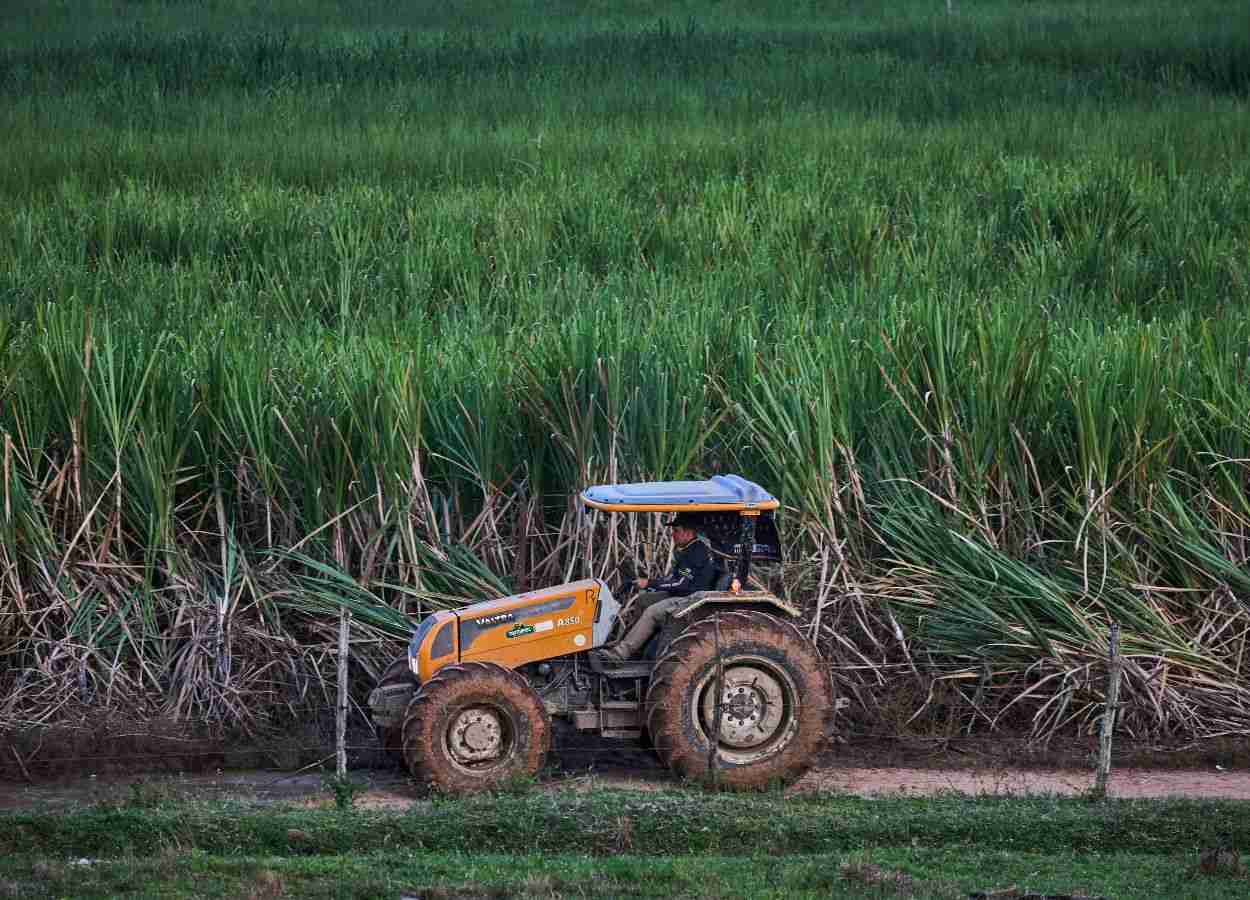 Alta nas vendas de tratores projeta novo ciclo no campo