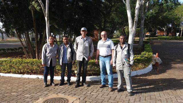 Projeto promove capacitação de técnicos agrícolas para produção de alho no Piauí