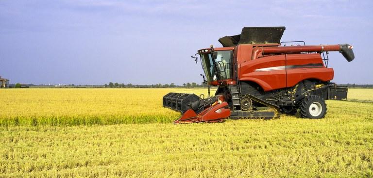 Conab realizou primeiro leilão de arroz de 2018