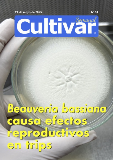 Cultivar Semanal 31