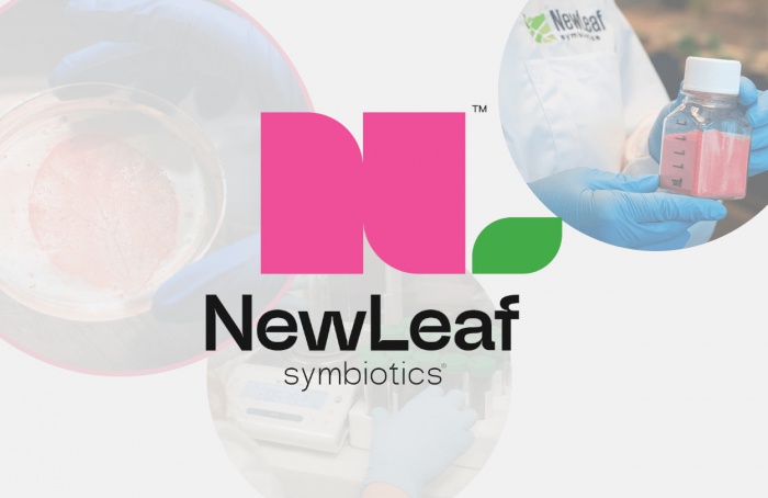NewLeaf Symbiotics lança tecnologia para combate a 'Diabrotica virgifera'