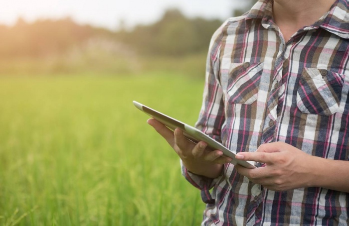 FGV promove webinar sobre seguro rural