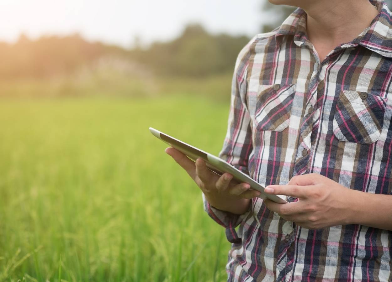 FGV promove webinar sobre seguro rural