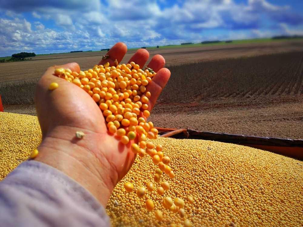 Aprosoja divulga expectativa para safrinha e fecha ciclo da soja em Mato Grosso do Sul