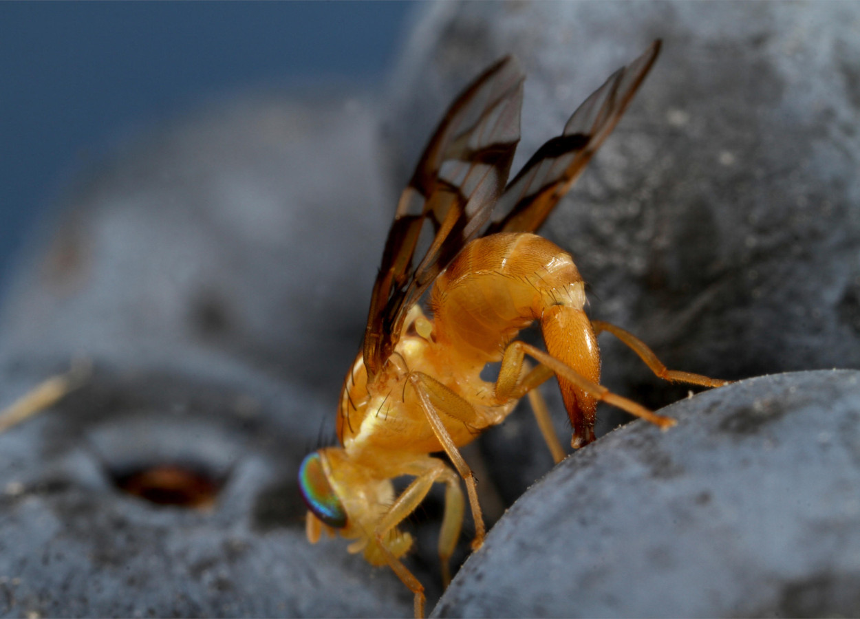 Fotos: Paulo Lanzetta