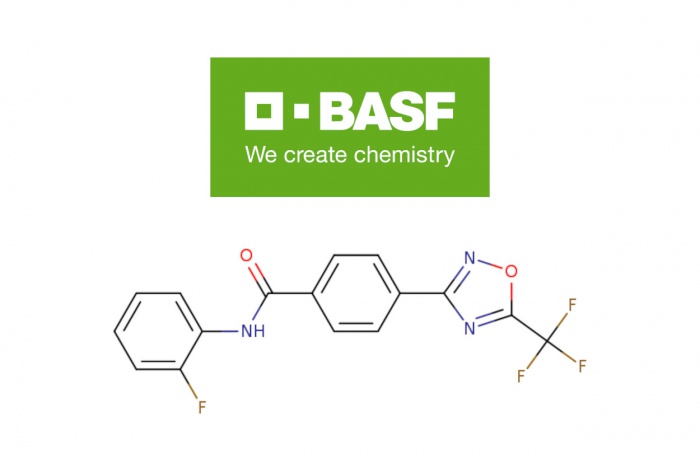 BASF inicia registro de novo fungicida contra ferrugem-asiática na América do Sul