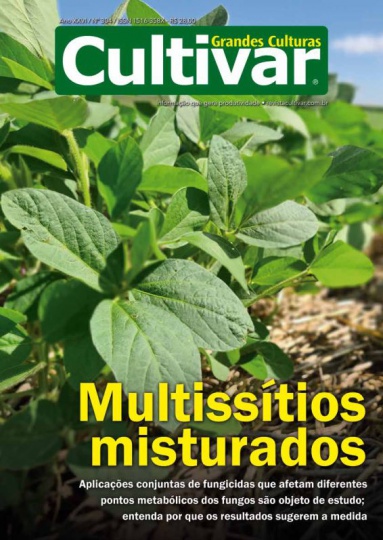 Cultivar Grandes Culturas 304