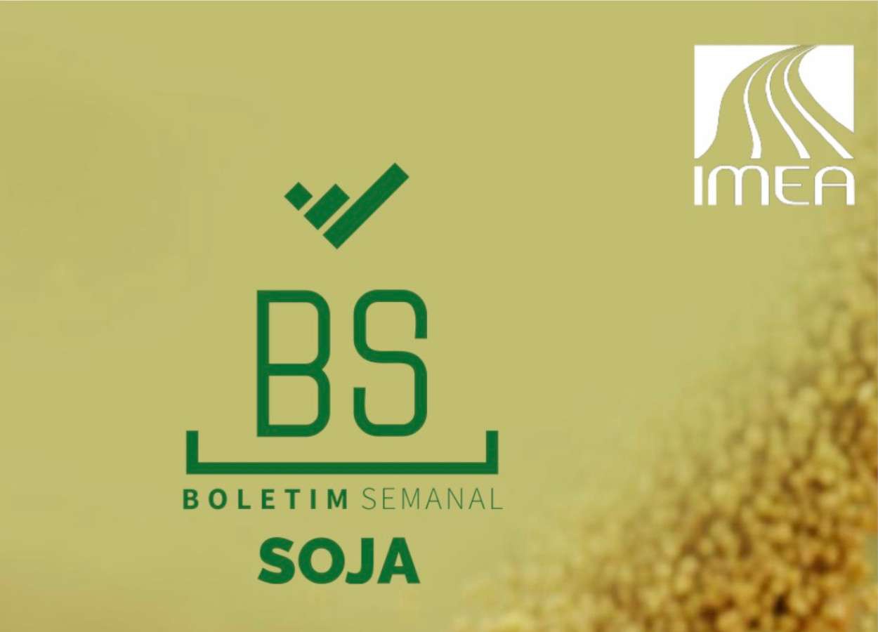 Colheita da soja avança para 65,75% em Mato Grosso