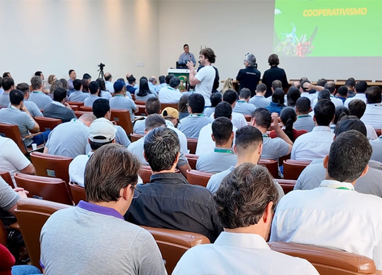 Setor cafeeiro amplia ações para promoção do trabalho decente