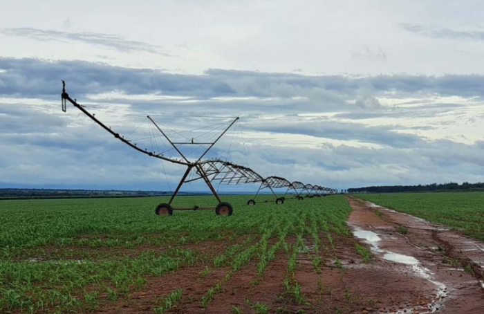Irrigation pole must be installed in Mato Grosso do Sul