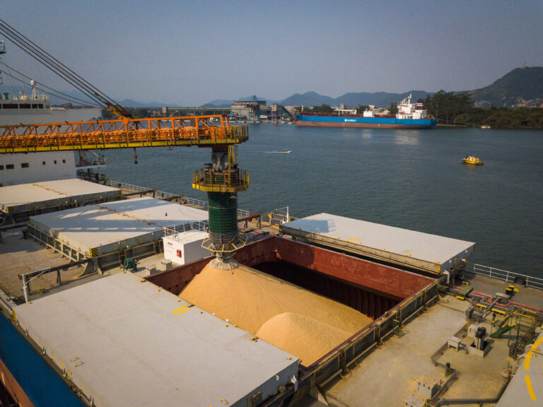 Agribusiness cargo stands out in the movement of the Port of Santos in April