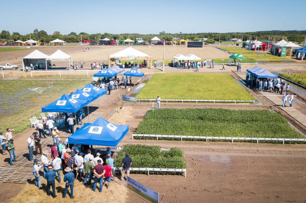 Produtores e especialistas movimentam Vitrines Tecnológicas na Abertura Oficial da Colheita do Arroz