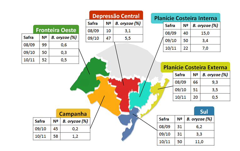 Figura 2 - Incidência média de Bipolaris oryzae (percentual de grãos infectados) e número de lotes (Nº) provenientes de campos de produção de sementes certificados pelo Irga em seis regiões produtoras de arroz irrigado no estado do Rio Grande do Sul realizada nas safras de 2008/09, 2009/10 e 2010/11
