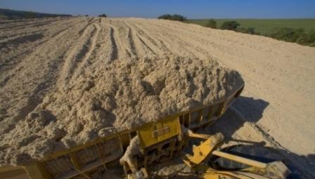 Mato Grosso do Sul tem amplo potencial para transformação de biomassa em energia