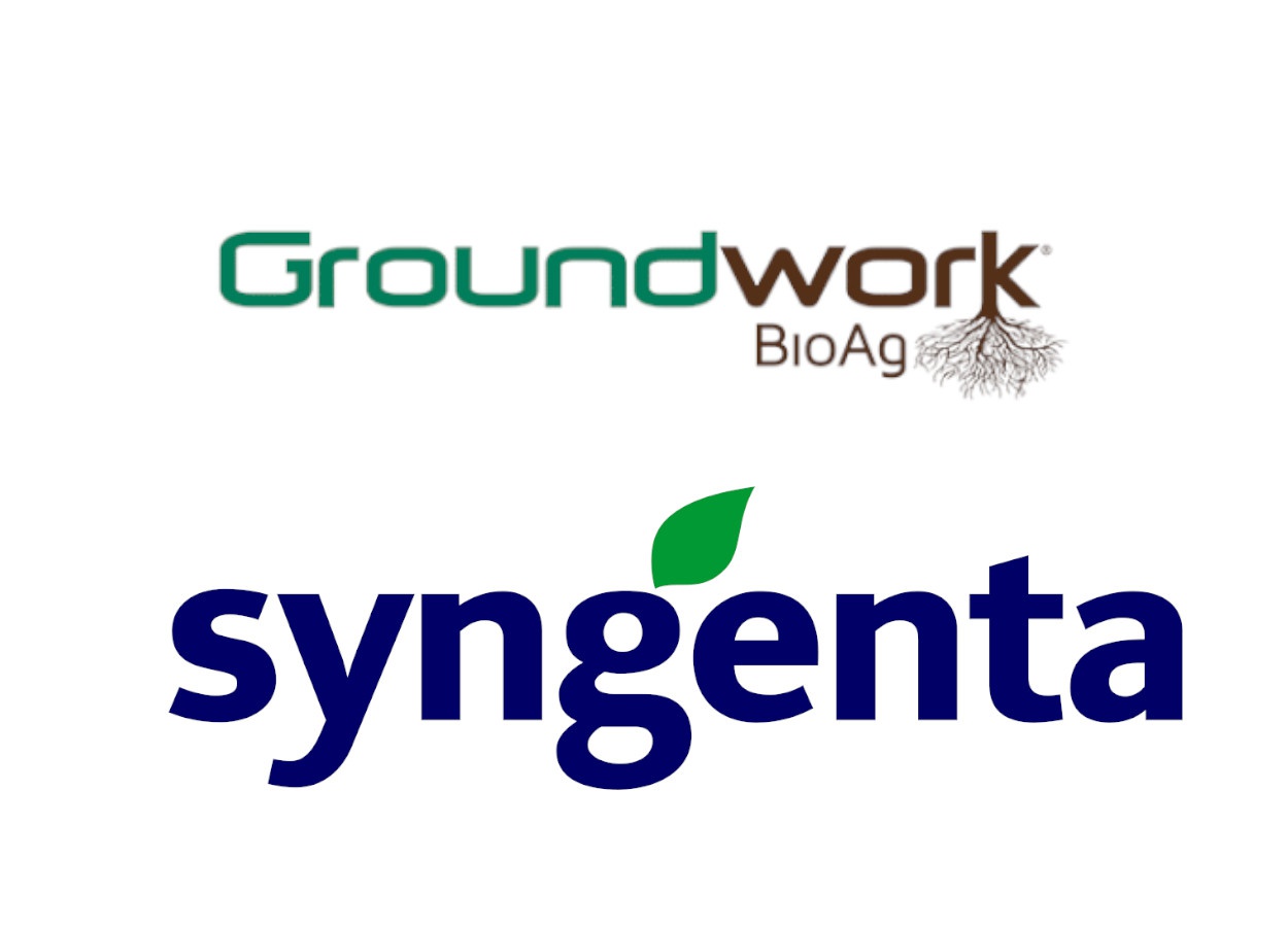 Syngenta e Groundwork BioAg firmam parceria em micorrizas