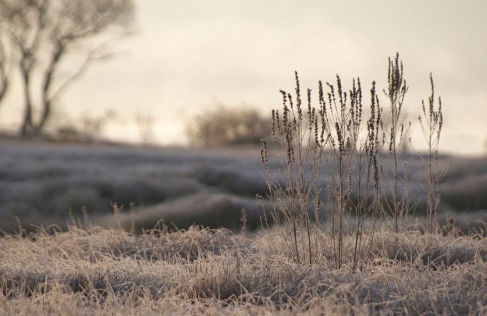 Inverno de 2025 será marcado por frio, geadas e neve