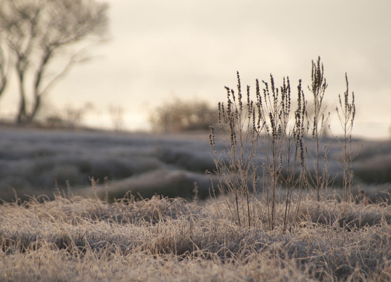 El invierno de 2025 estará marcado por el frío, las heladas y la nieve.