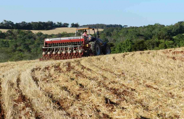 Semeadura da soja acelera no Rio Grande do Sul