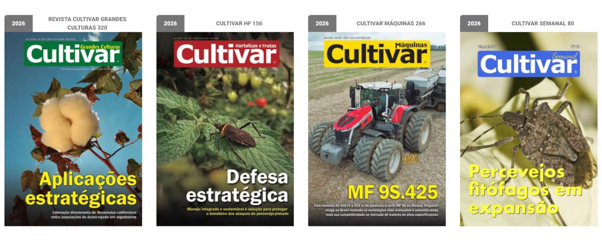 Capas - 2025
